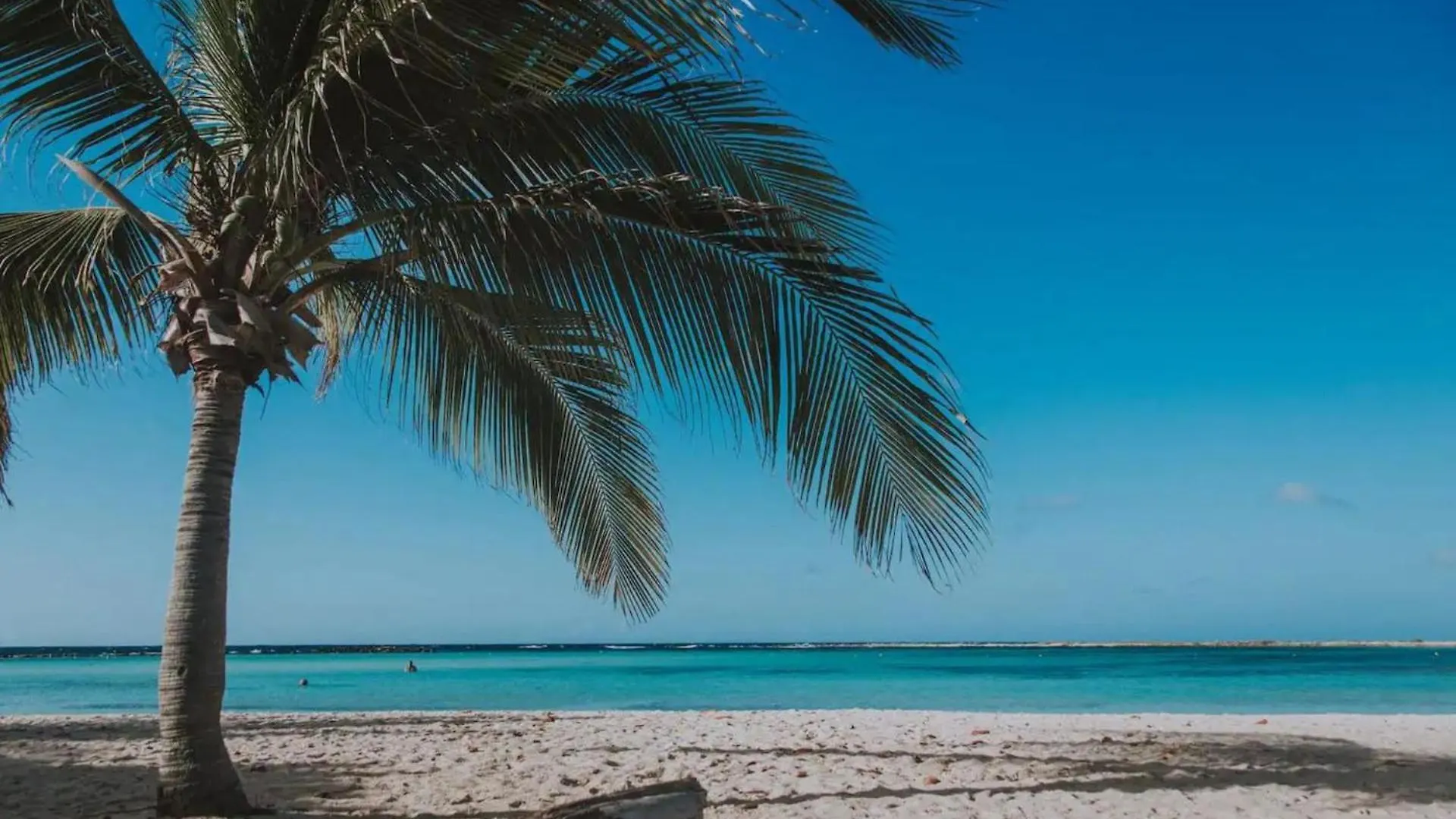 Luxurious Villa In Noord, Aruba Palm Beach Aruba